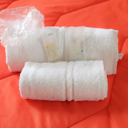 Domus Armenio 4* Nápoles