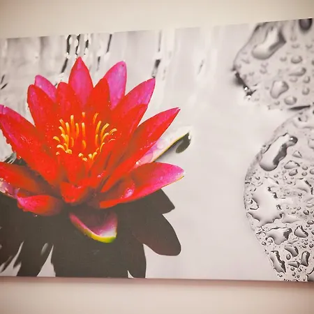 多莫斯阿莫尼欧住宿加早餐旅馆 那不勒斯