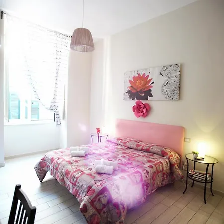 多莫斯阿莫尼欧住宿加早餐旅馆 住宿加早餐酒店